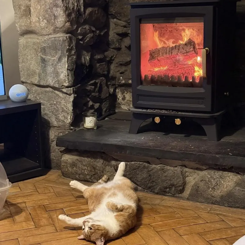 Elk Woodburner