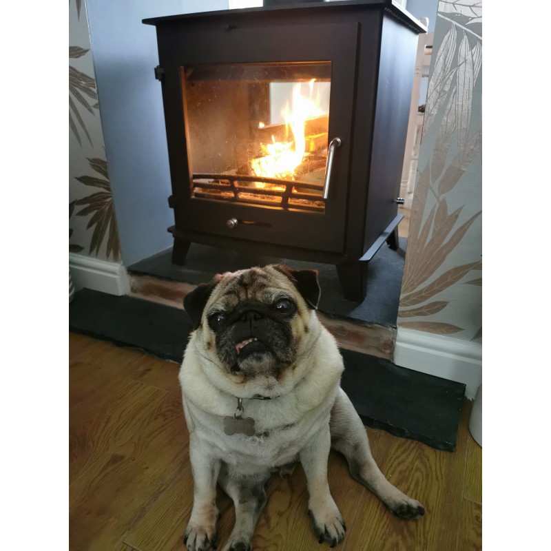 12-14kw Ottawa Clean Burn Contemporary Wood Burning Multi Fuel Stove