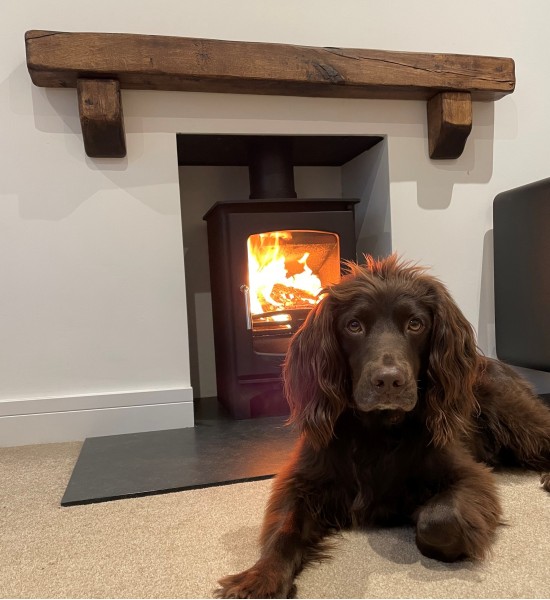 Ecosy+ Curve 5kw Defra