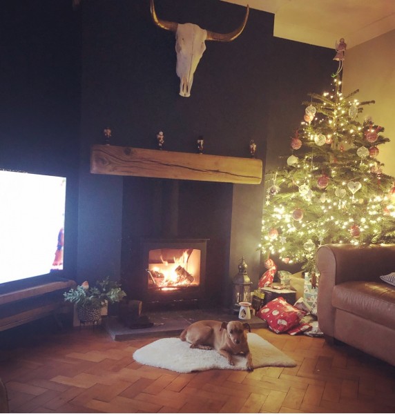 Ecosy+ Panoramic 