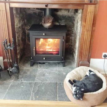 12kw ottawa clean burn Stove Multifuel Norman review