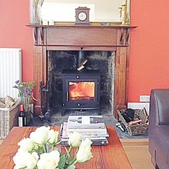 12kw ottawa clean burn Stove Multifuel Norman review