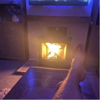 5-10kw-Panoramic-Slimline-Eco-Design-Wood-Burning-Stove1667321049.jpg