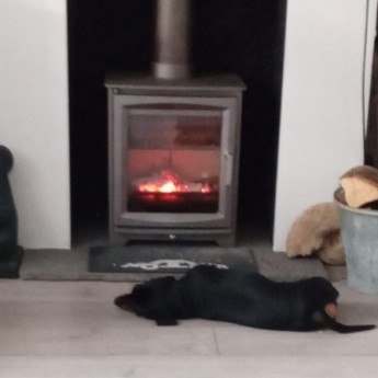 Hampton-5-Ecodesign-Ready-Wood-Burning-Stove-lloyd-31669733591.jpg