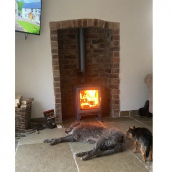 Hampton-5-Ecodesign-Ready-Wood-Burning-Stove1667494547.jpg