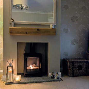 Hampton-5-Pure-Bio-Stove-martin1765799193.jpg