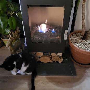 Hampton-Bioethanol-Fire-Box-Tim1769530563.jpg