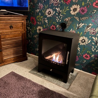 Leo-V-Pure-Bio-Stove-christine-21768390456.jpg
