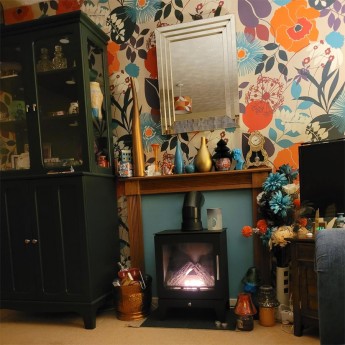 Leo-V-Pure-Bio-Stove-sally1733322321.jpg