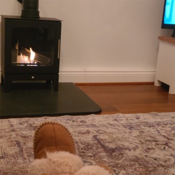 Leo-V-pure-bio-stove-ruth1739271234.jpg