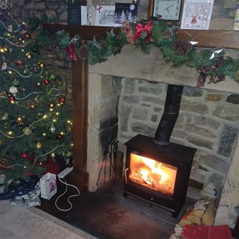 Panoramic-Multi-Fuel-5kw-Stove-ronald1766421563.jpg