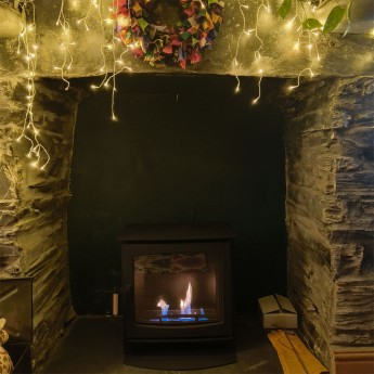 Panoramic-Pure-Bio-stove-Ren1773760303.jpg