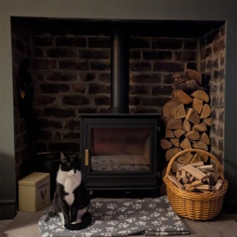 Panoramic-Traditional-woodburner-Katie1763983165.jpg