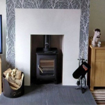 Purefire-5kw-Curve-Contemporary-Woodburning-Stove1623752237.jpg