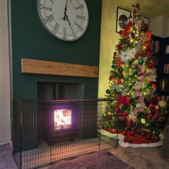 Purefire-Curve-5kw-Multi-Fuel1734348128.jpg