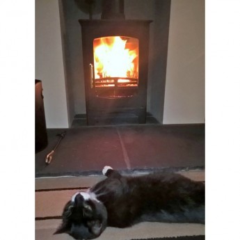 defra 85 efficient Ecosy Curve 5kw review