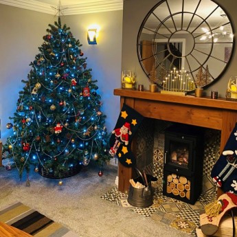 Defra ottawa 5kw stand wood burning stove Christmas
