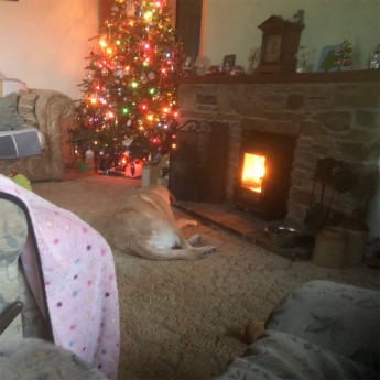 ecosy-hampton-4-kw-wood-burning-stove1707152081.jpg