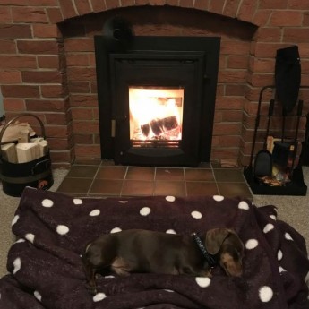 ecosy-hampton-5-insert-wood-burning-only-stove-lee1670586740.jpg