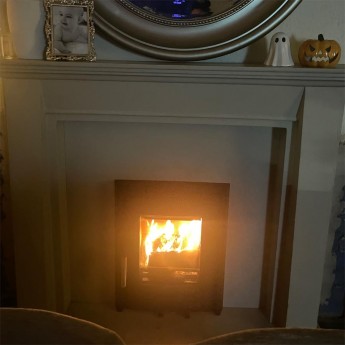 ecosy-hampton-5-inset-wood-burning-only-stove-missy1733243622.jpg