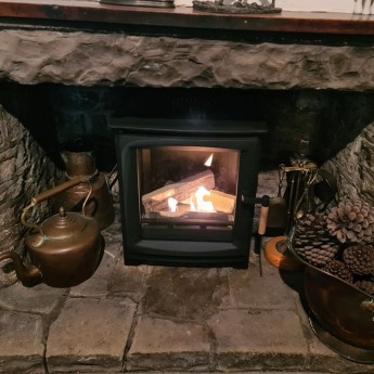 ecosy-hampton-5-pure-bio-fuel-stove-anne1729094847.jpg