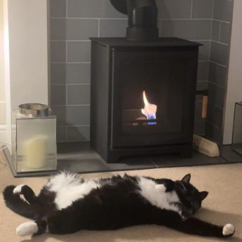 ecosy-hampton-5-pure-bio-fuel-stove-nick1740049979.jpg