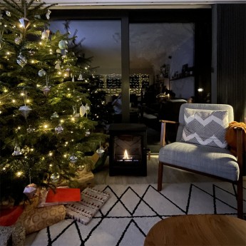 ecosy-hampton-5-pure-bio-fuel-stove-steph1674737565.jpg