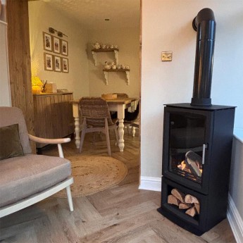 ecosy-hampton-vista-500-biofuel-stove-julie1758623384.jpg