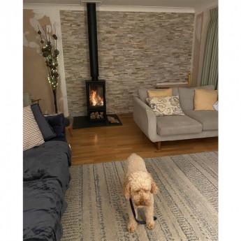 ecosy-hampton-vista-500-ecodesign-multi-fuel-stove1701183987.jpg