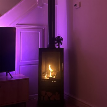 ecosy-hampton-vista-500-pure-bio-biofuel-stove-lee1710430107.jpg