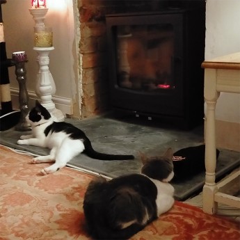 ecosy-newburn-5-wide-5kw-defra-approved-21670260534.jpg