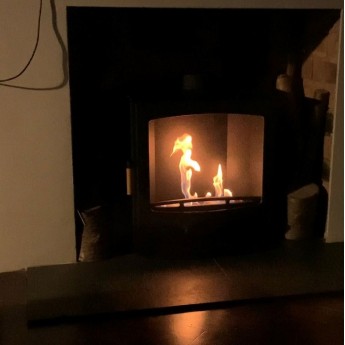 ecosy-panoramic-pure-bio-stove1695397454.jpg