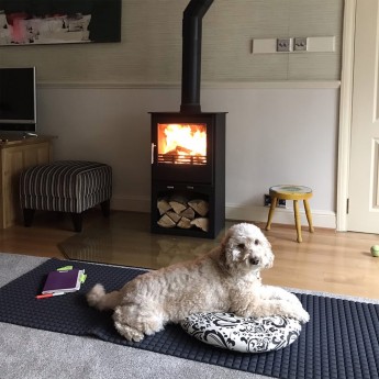 ecosy-snug-7-to-10kw-multi-fuel1679072142.jpg