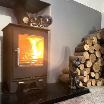 snug-5kw-ecodesign-ready-multi-fuel-wood-burning-stove1672922667.jpg