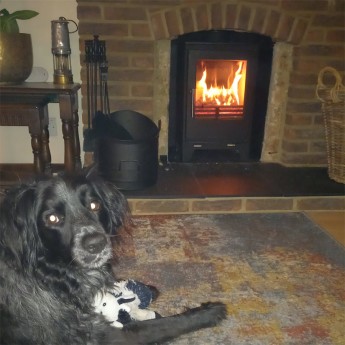 snug-5kw-ecodesign-ready-multi-fuel1676042260.jpg