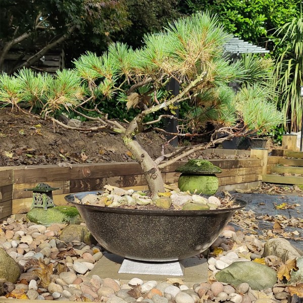 Raw 850mm Diameter 24KG Cast Iron Indian Fire Bowl  