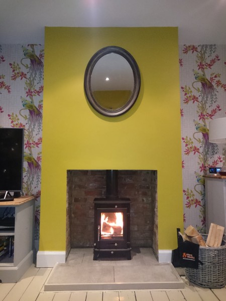 Ottawa 5kw Defra Approved Stove