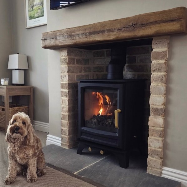 Elk Brass Woodburning / Multi-Fuel Stove